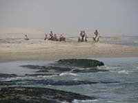 /international/2006Walvisbay/images/SeaLeg/thumbnails/racesealeg 017.jpg